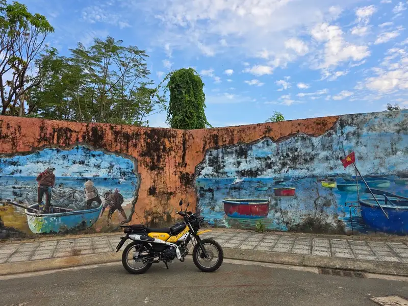 Bougainvillea lane and murals (Vĩnh Trường fishing village)