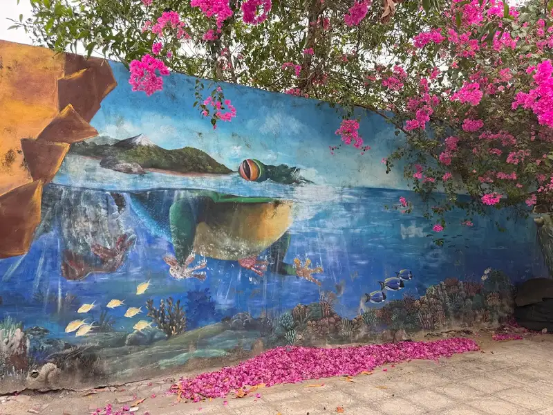 Bougainvillea lane and murals, photo 3
