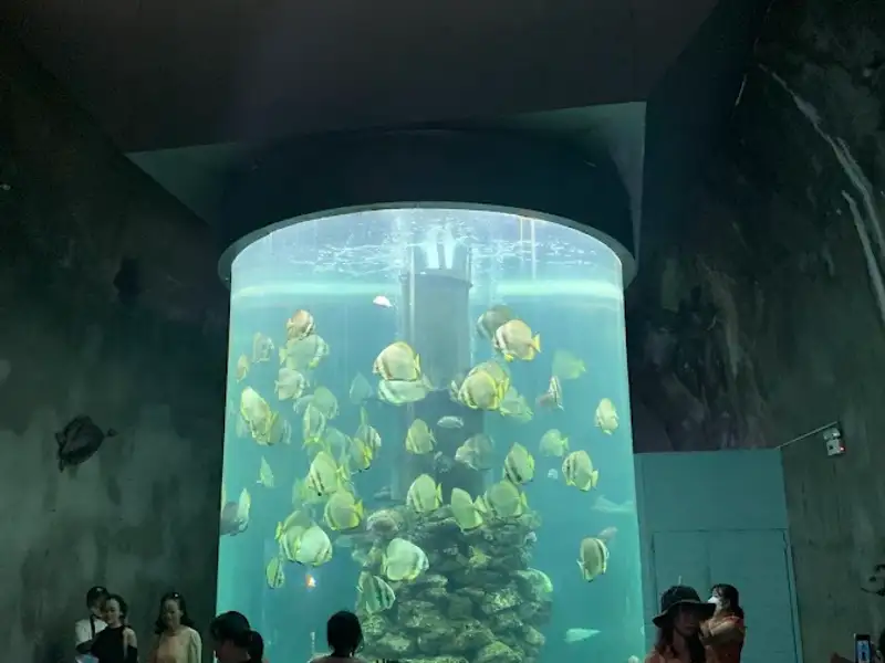 Institute of Oceanography, photo 5